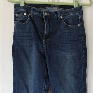 Lucky Brand Bridgette Skinny Jeans 8/29 - High Rise Spring Denim EUC 👖